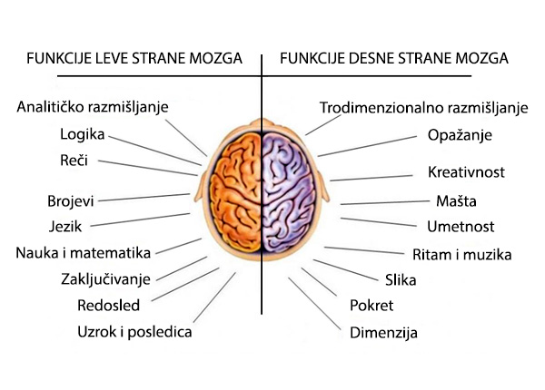 mozak funkcije